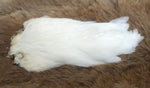 Indian Hen Neck