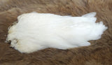 Indian Hen Neck