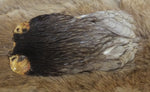 Indian Hen Neck