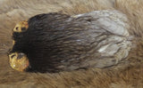 Indian Hen Neck