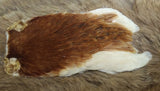 Indian Hen Neck