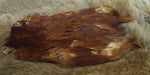 Indian Hen Neck