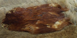 Indian Hen Neck