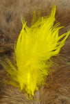 Spey Hackle