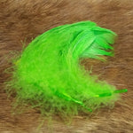 Spey Hackle