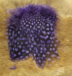 Guineafowl - Large Dot Strung