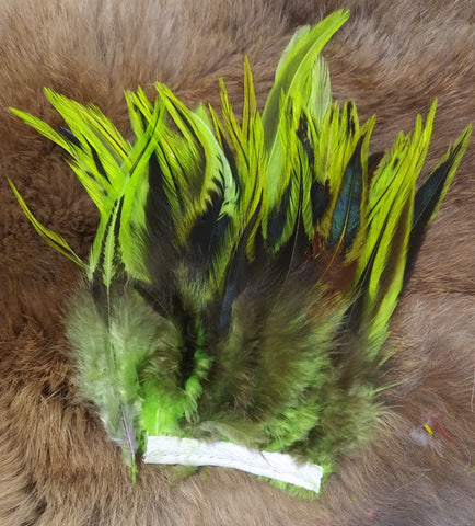 Attractor Badger Saddle Hackle