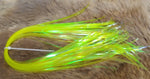 UV Holographic Flash