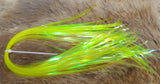 UV Holographic Flash
