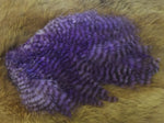 Grizzly Body Plumage - Purple