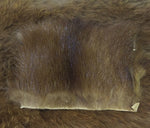 Mink