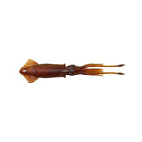 3D Swim Squid