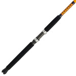Bigwater Spinning Rod