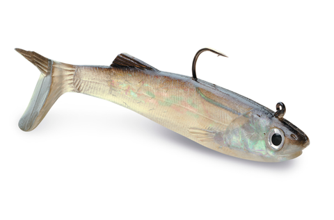 WildEye® Live Anchovy