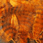 Grizzly Marabou