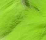 Arctic Fox Zonker