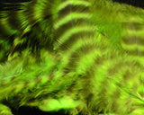 Grizzly Marabou