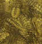 Grizzly Marabou