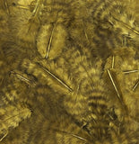 Grizzly Marabou