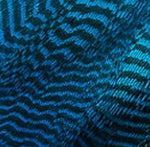 Dyed Teal Duck Flank