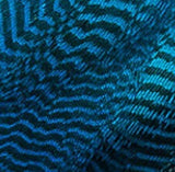 Dyed Teal Duck Flank