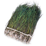 Strung Peacock Herl