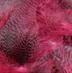 Dyed Teal Duck Flank