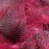 Dyed Teal Duck Flank