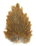 Hen Saddle