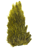 Hen Saddle