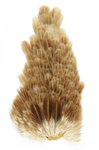 Hen Saddle