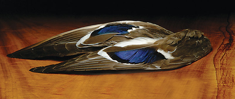 Mallard Whole Wings Natural
