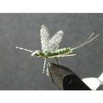 Mayfly Wing Cutter