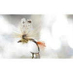 Mayfly Wing Cutter