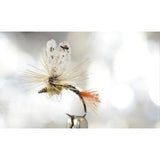 Mayfly Wing Cutter