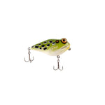 Frog-R